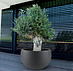 Grigio Elena  120x75 cm