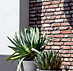 Grigio Egg Pot  50x45 cm