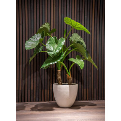 Grigio Egg Pot 60 cm - Antique White
