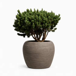 Ronde plantenbak  Ø 110 cm, hoogte 82 cm kleur  "Wild Mushroom"