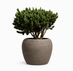 Ronde plantenbak Calix Ø 95 cm, hoogte 71 cm kleur "Wild Mushroom"