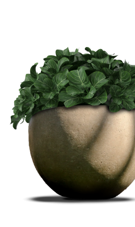 Tot 30 november <br> 10% Black <br> Friday korting!