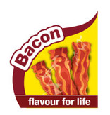 Nylabone Power Chew Bacon Kluif maat XL