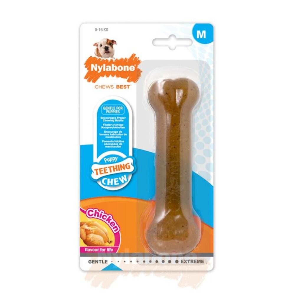 Nylabone Puppy Chew Bone maat M Nylabone Puppy Chew Bone maat M