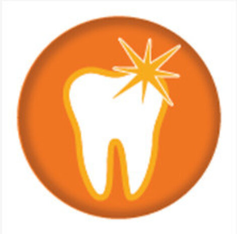 Nylabone Power Chew Antler Alternative maat L Nylabone Power Chew Antler Alternative maat L