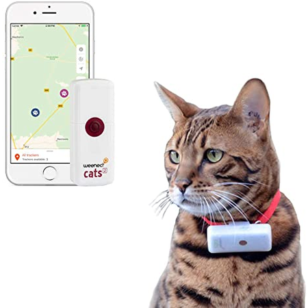 Weenect GPS tracker voor katten