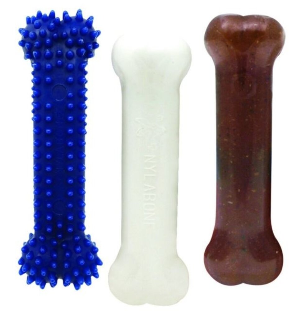 Nylabone Puppy Starter Kit 301 Nylabone Puppy Starter Kit 301