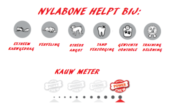 Nylabone Power Chew Cheese & steak maat M Nylabone Power Chew Cheese & steak maat M