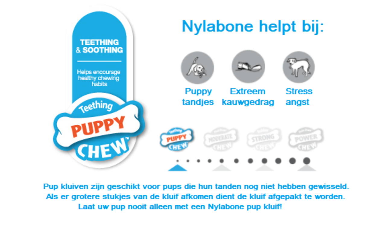 Nylabone Puppy Teething Keys Nylabone Puppy Teething Keys