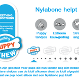 Nylabone Puppy Teething Keys