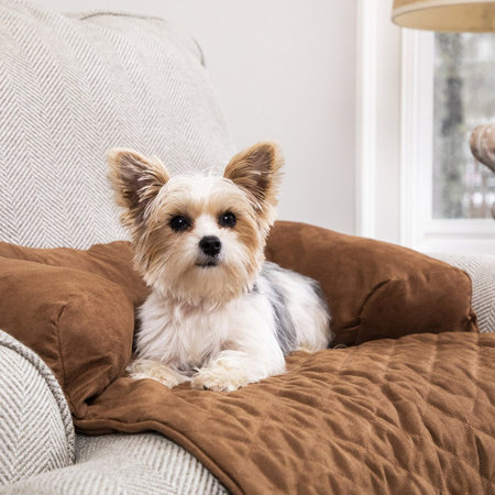 PetSafe CozyUp  Chair Protector