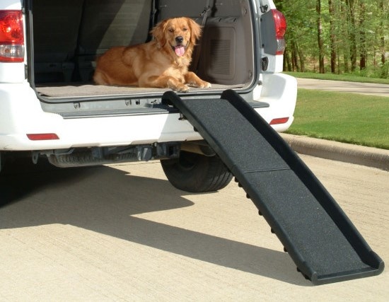 Honden loopplank kopen? 4 tips waar u op moet letten