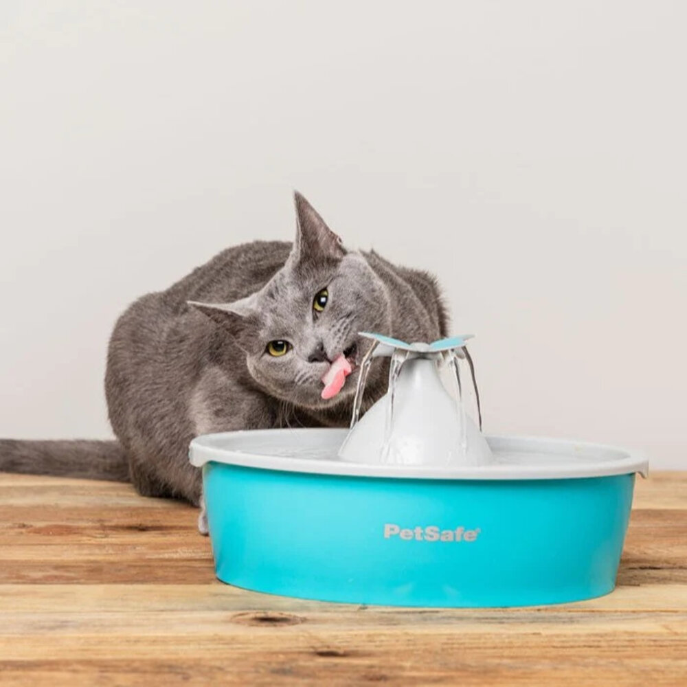 PetSafe Drinkwell Butterfly Pet Fountain