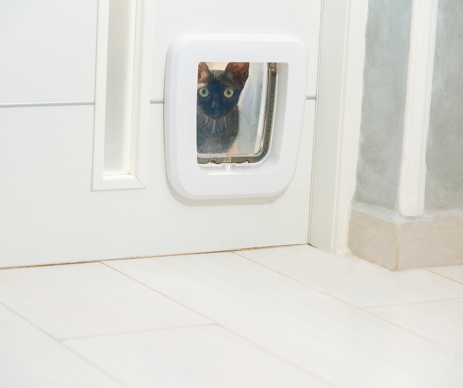 5 tips  bij het kopen van een kattenluik