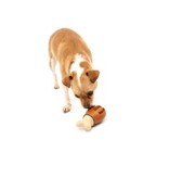 Petsafe Busy Buddy Chompin’ Chicken Treat Ring Dog Toy medium/large