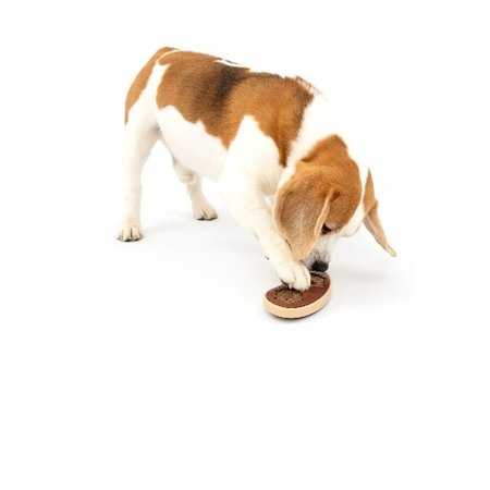 PetSafe Busy Buddy Slab o' Sirloin Treat Ring small/medium