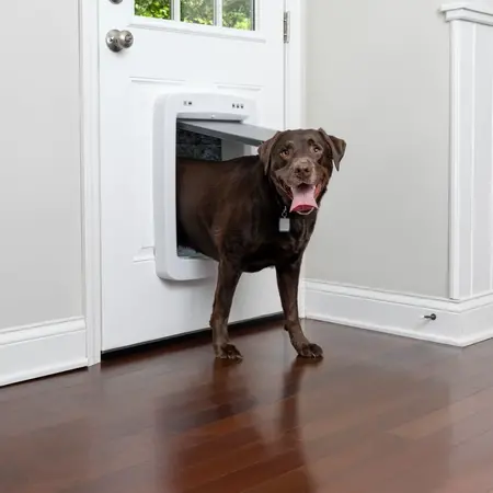 PetSafe SmartDoor Connected Petdoor Large