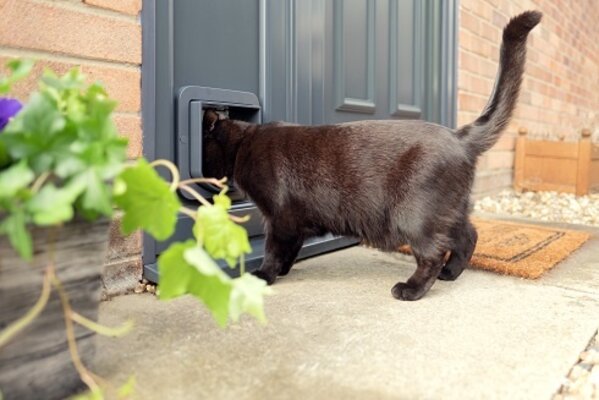 Sure Petcare Microchip kattenluik grijs wit Sure Petcare Microchip kattenluik grijs wit