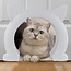 Cat Door Kattendeur Mao