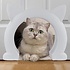 Kattendeur MAO L