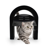 Merkloos Kattendeur Dakai - zwart Merkloos Kattendeur Dakai - zwart