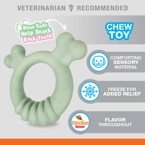 Nylabone Puppy Tactile Ring Mintgroen Kip Nylabone Puppy Tactile Ring Mintgroen Kip