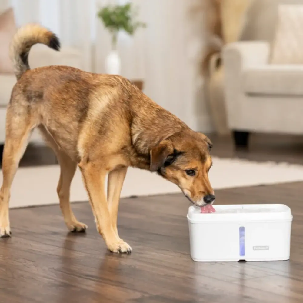 PetSafe Nieuw!! Viva drinkfontein 4,1 liter PetSafe Nieuw!! Viva drinkfontein 4,1 liter