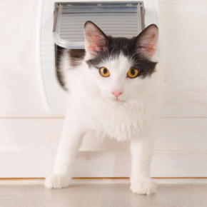 Kattenluik standaard Kattenluik standaard