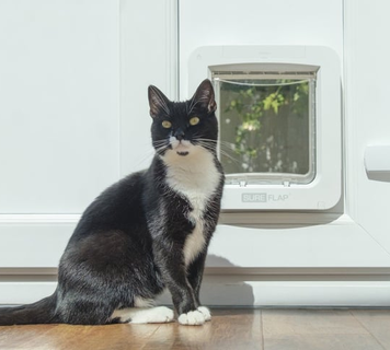 Kattenluik met timer
