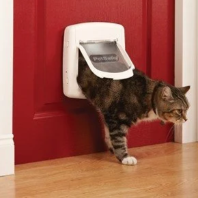 Kattenluik magneet Kattenluik magneet