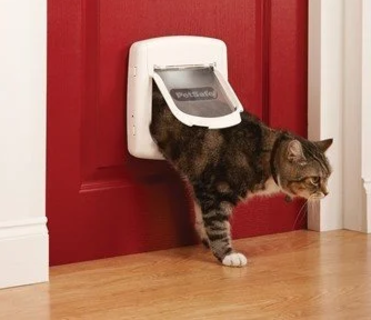 Kattenluik magneet