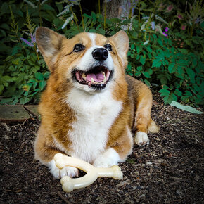 Adult tot 16 kg Adult tot 16 kg