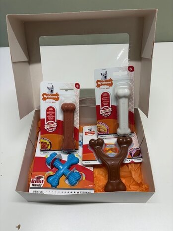 Nylabone Giftbox - Small Nylabone Giftbox - Small