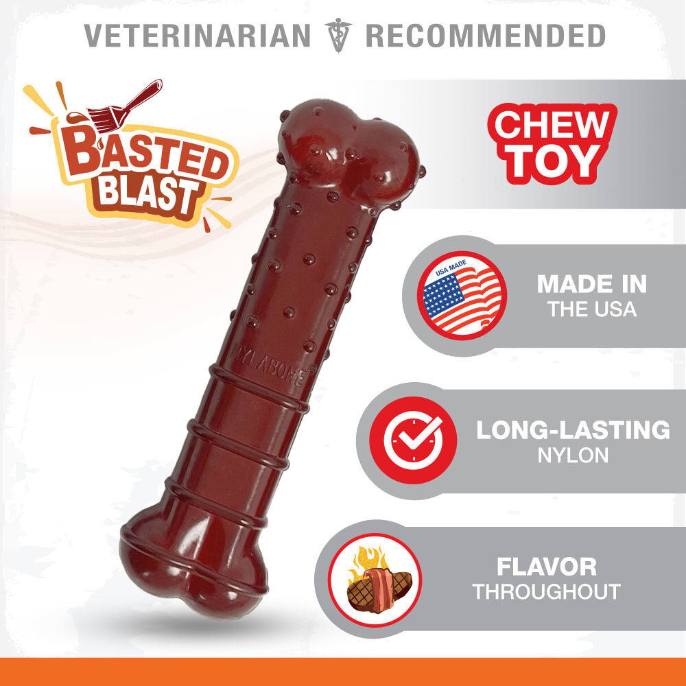 Nylabone Basted Blast – Bacon & Steak Dubbele Smaak Nylabone Basted Blast – Bacon & Steak Dubbele Smaak