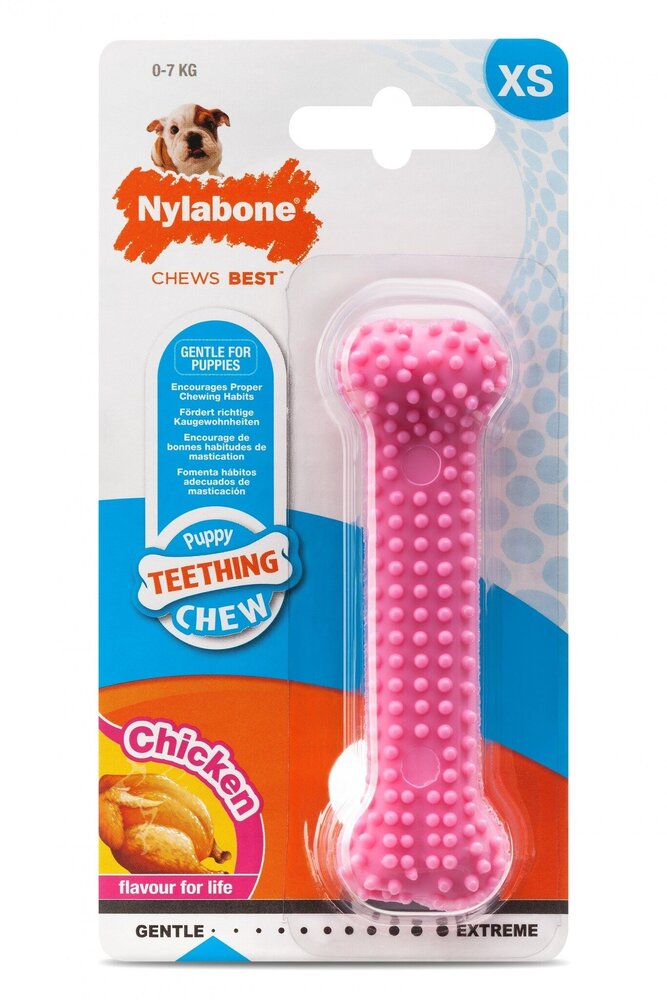 Nylabone Puppy Dental Bone Pink XS Chicken Flavour Nylabone Puppy Dental Bone Pink XS Chicken Flavour