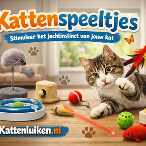 Kattenspeeltjes