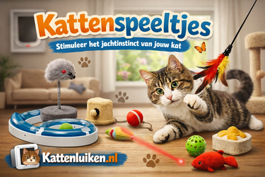Kattenspeeltjes – Stimuleer het jachtinstinct van jouw kat