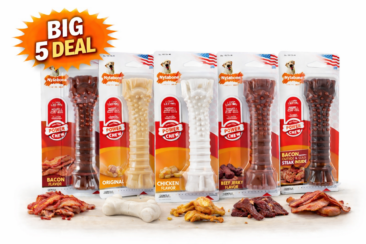 Nylabone Big 5 super Deal