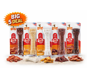 Nylabone Big 5 super Deal