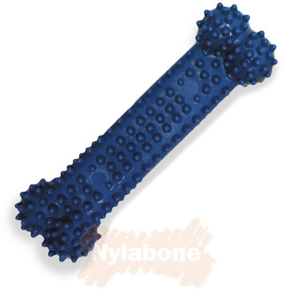 Nylabone Flexi Chew Gumabone – Getextureerd Dental Kauwbot voor Honden M