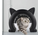 Kattendeur MAO - Met massageborstel L