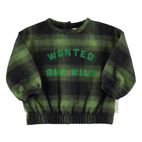 Piupiuchick Flannel blouse - Green & black checkered
