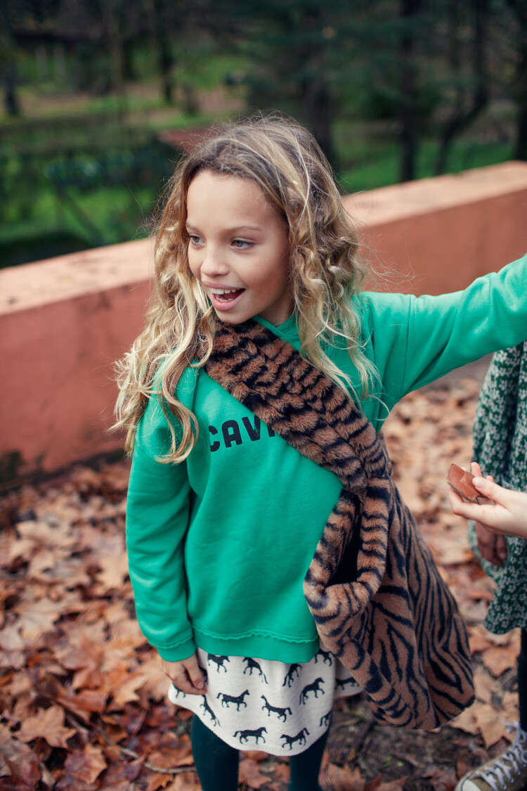 Piupiuchick Hoodie - Green w/ "cavalier" print