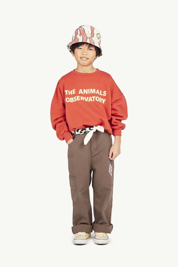 The Animal Observatory Condor Pants - Deep Brown