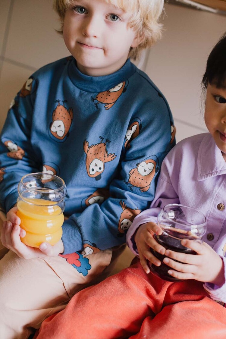 Lotiekids Owls Sweatshirt - Blue