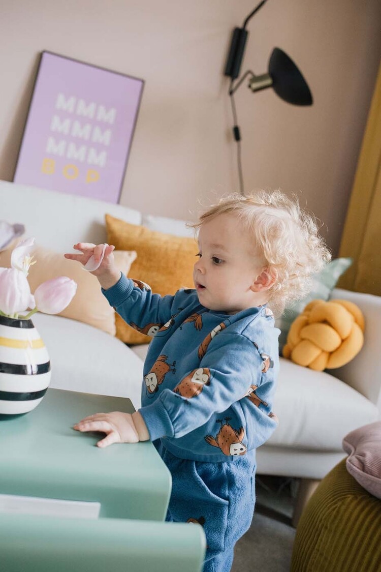 Lotiekids Owls Sweatshirt - Blue