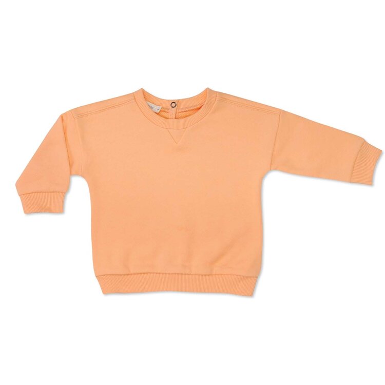 Phil & Phae Chunky baby sweater - apricot