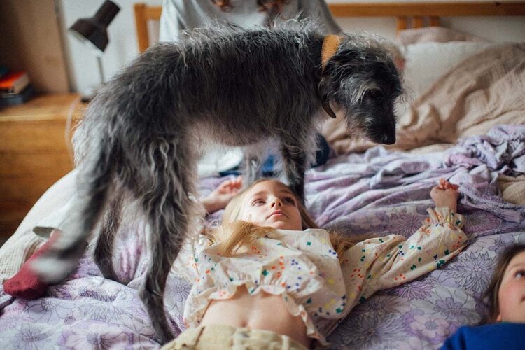 Bobo Choses Sparkles All Over Woven Blouse