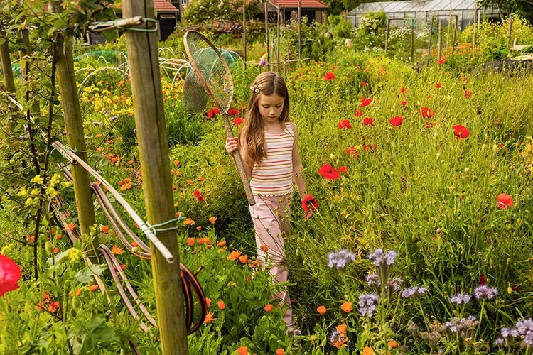 Sproet & Sprout Flare Denim Pants Daisies Print - Summer Sorbet