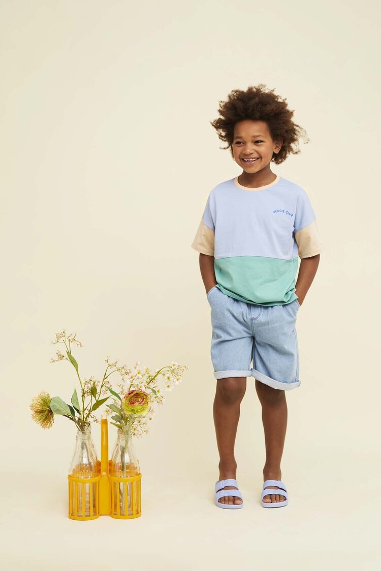 Sproet & Sprout T-shirt Colourblock - Misty Blue